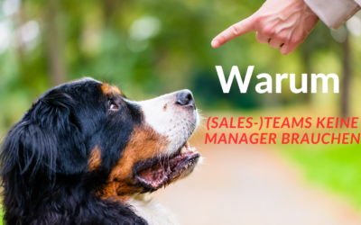 Die Illusion der Kontrolle im Vertrieb: Warum (Sales-)Teams keine Manager brauchen